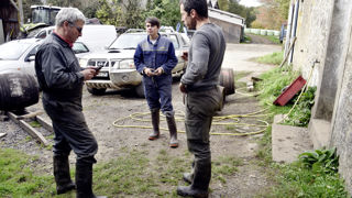 Au centre, un apprenti dans une exploitation laitière en Bretagne. Déjà très élevé, le taux d'emploi des apprentis repart à la hausse. Au centre, un apprenti dans une exploitation laitière en Bretagne. Déjà très élevé, le taux d'emploi des apprentis repart à la hausse.