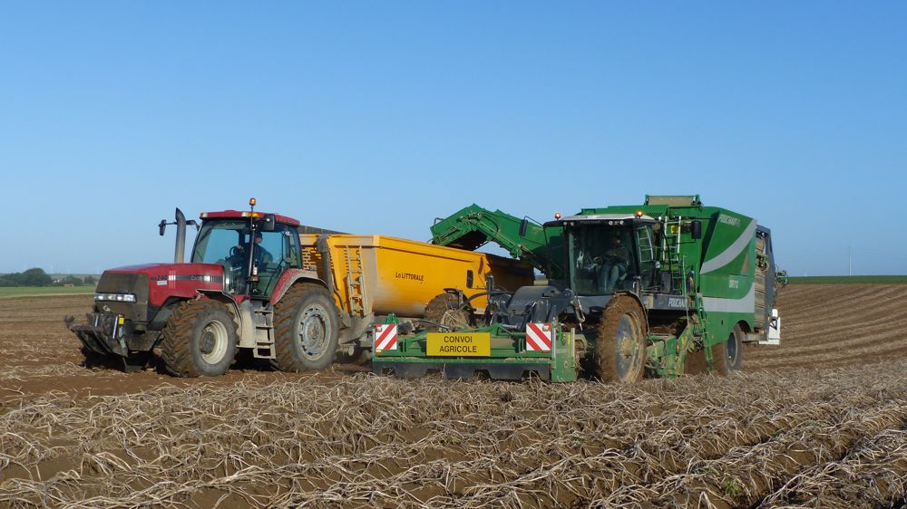 L'arracheuse automotrice à pommes de terre Pouchain Oryx 4.75 évolue L'arracheuse automotrice à pommes de terre Pouchain Oryx 4.75 évolue