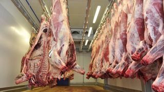 Des ONG de défense des animaux demandent que plusieurs sujets soient abordés dans les concertations prévues dans le cadre de la révision de la réglementation européenne sur le bien-être animal. Des ONG de défense des animaux demandent que plusieurs sujets soient abordés dans les concertations prévues dans le cadre de la révision de la réglementation européenne sur le bien-être animal.