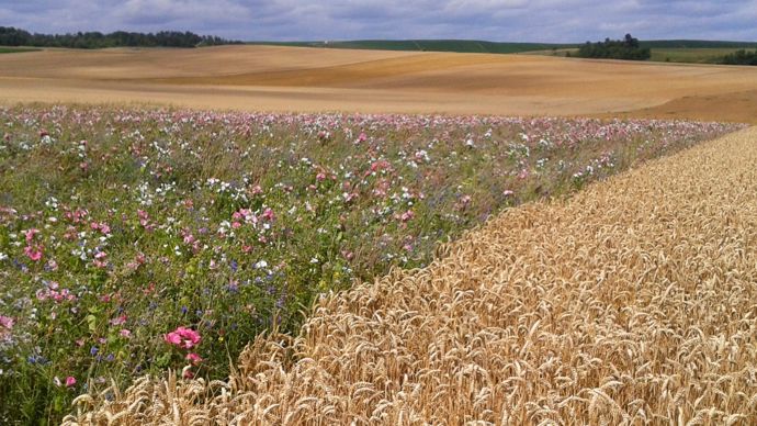 La nouvelle charte Hamony 2030 de Mondelēz International se focalise sur deux piliers : contribuer à l’atténuation du changement climatique et ralentir l’érosion de la biodiversité.