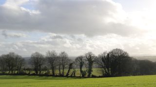 Le défaut d’information du bailleur quant à la mise des biens loués à la disposition d’une société d’exploitation constitue un manquement du preneur à ses obligations le privant du droit de céder le bail.