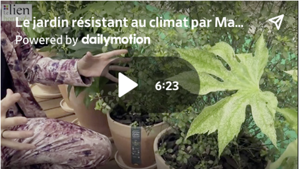 Manuel Rucar, du cabinet de tendances Chlorosphère, présente l’espace Tendances 2024 au cœur des Journées des Collections à Marseille.