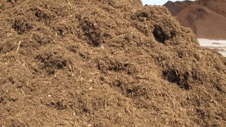 Les producteurs anglais sont inquiets : la tourbe, qui devait disparaître des substrats en 2030, devra finalement tirer sa révérence dès 2026. Une échéance techniquement difficile à respecter !