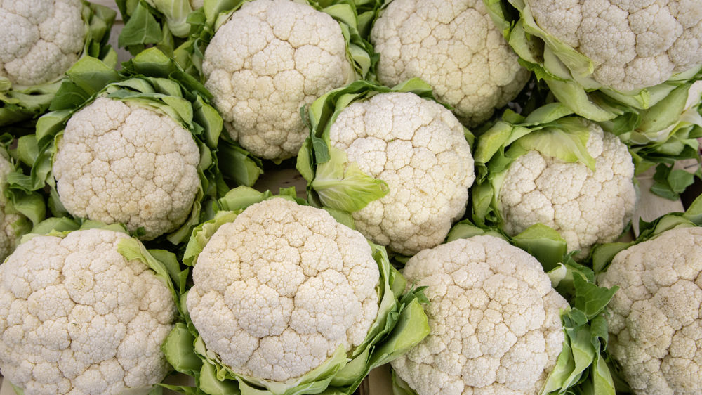 Les prix des choux-fleurs flambent au mois de février 2023, avec la baisse des récoltes et des surfaces nationales.