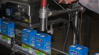 L’essentiel des volumes de Natilait, laiterie tunisienne, est transformé en lait UHT mais la laiterie propose aussi 50 références de produits frais.