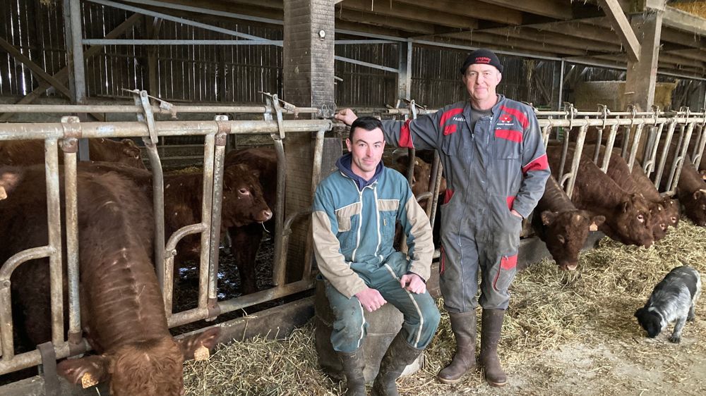 Dominique Tourde et son fils Romain ont développé la production de très jeunes bovins salers pour une filière sous contrat du groupe Altitude.