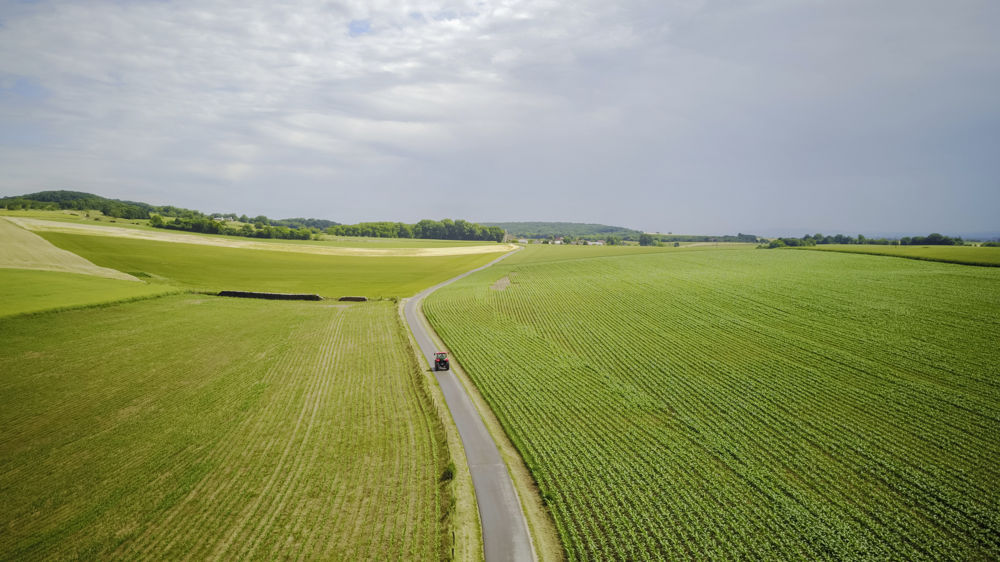 Des investisseurs dans le foncier agricole anticipent dans les années à venir, une hausse de la demande alimentaire mondiale.