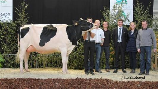 Facile Prim'holstein