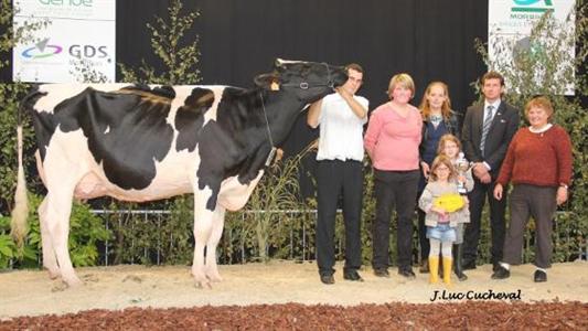 Egerie Prim'holstein