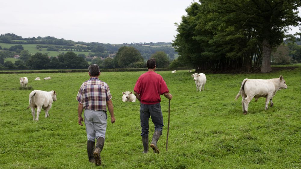 La charge de travail est un enjeu pour l'avenir des exploitations.