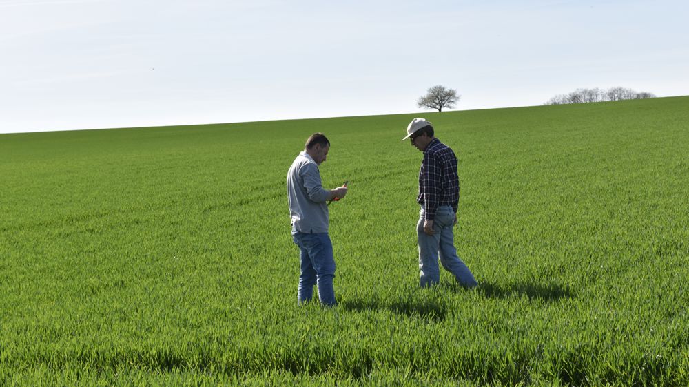 Dans son rapport, la Cour des comptes préconise de rééquilibrer les dispositifs d'accompagnement à l'installation vers les plus de 40 ans.