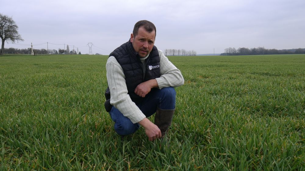Sébastien Philippot teste toujours un biostimulant sur une partie de son exploitation, et n'étend son application à toute la culture qu'après avoir obtenu des résultats positifs plusieurs années successives.