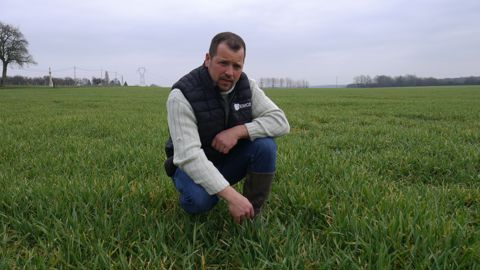 Sébastien Philippot teste toujours un biostimulant sur une partie de son exploitation, et n'étend son application à toute la culture qu'après avoir obtenu des résultats positifs plusieurs années successives.