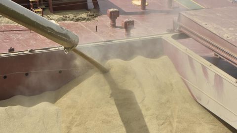 Pologne et Hongrie ont décidé de ne plus laisser entrer les produits agricoles ukrainiens par leurs frontières.