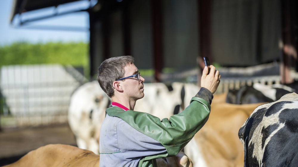 À partir de 2025, Orange puis SFR et Bouygues Telecom cesseront d’exploiter la 2G et la 3G.