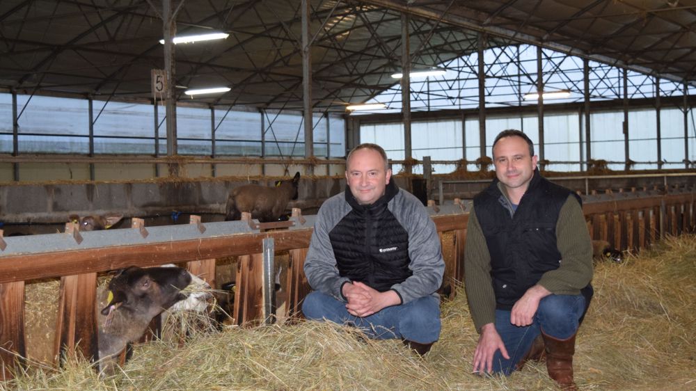 « Notre système est aujourd’hui bien en place mais la conjoncture nous pousse à accélérer l’amélioration de notre génétique », témoignent Eric (à gauche) et David Rouillère.