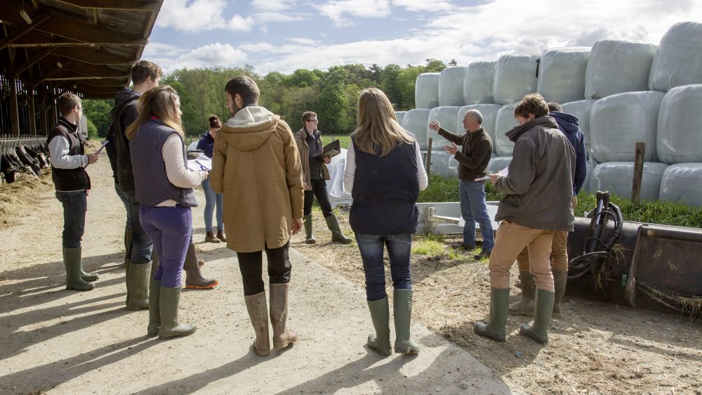 Des écoles d'ingénieurs proposent des cursus aménagés permettant d'associer activité agricole et enseignement.