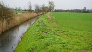 Le principal syndicat agricole allemand voudrait que l'agriculture soit une priorité.