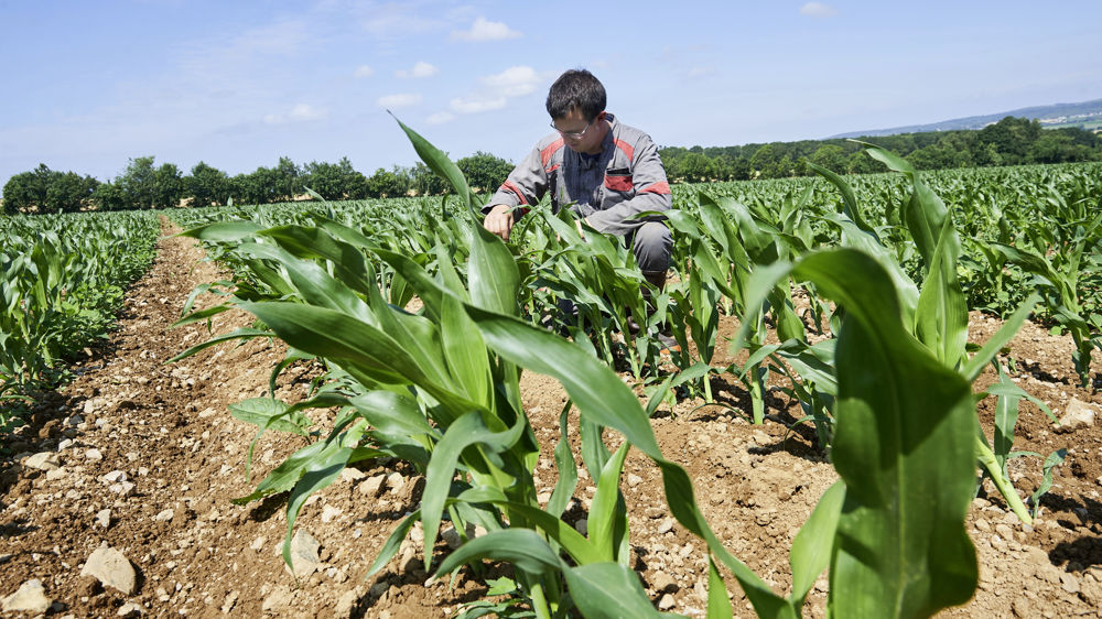 L'Itab demande que cessent les attaques auxquelles elle doit faire face afin de poursuivre sereinement ses travaux.