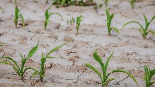 L'Espagne cherche de l'aide auprès de la Commission européenne pour aider ses agriculteurs face à une sécheresse exceptionnelle. L'Espagne cherche de l'aide auprès de la Commission européenne pour aider ses agriculteurs face à une sécheresse exceptionnelle.