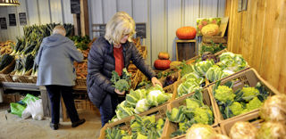 Les fruits et légumes « moches » pourraient être valorisés en vente directe selon leur état frais. Les fruits et légumes « moches » pourraient être valorisés en vente directe selon leur état frais.