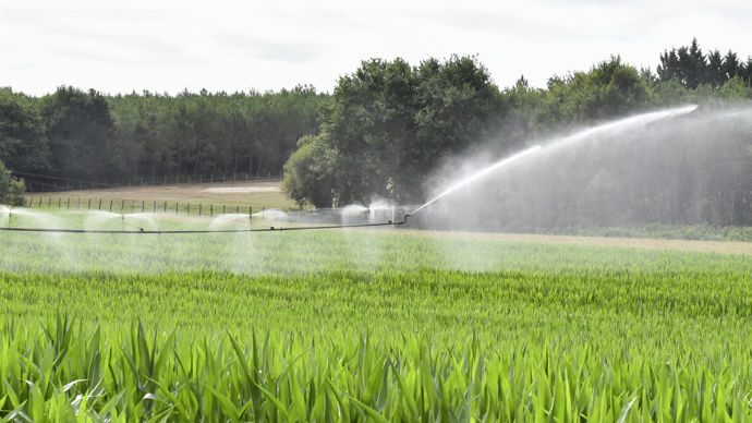 Environ un tiers des surfaces de maïs sont irriguées en France ; ce qui représente un tiers de la sole totale irriguée.