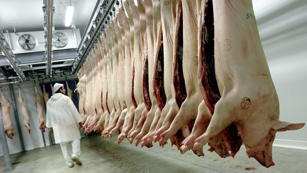 En France, dans la zone Uniporc Ouest, les abattages sont en recul de 6,7 % sur le premier trimestre de 2023.