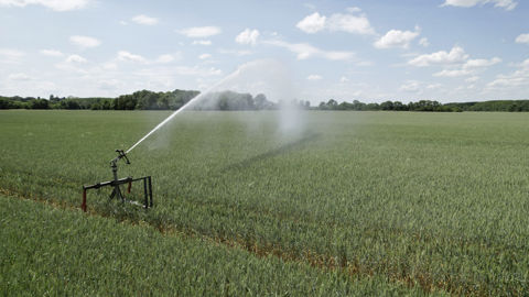 Le préfet n'a pas précisé si des dérogations à l’interdiction d’irriguer étaient prévues (image d’illustration)