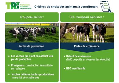 Critères de choix des animaux à vermifuger