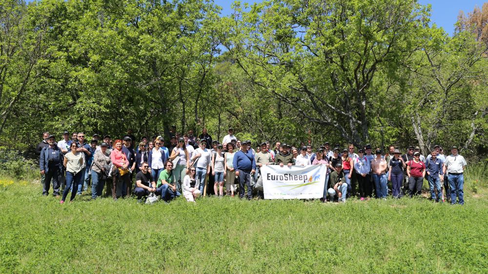 90 professionnels de la filière ovine (éleveurs, conseillers, chercheurs, vétérinaires...) de huit pays (Espagne, Italie, Turquie, Grèce, Hongrie, France, Royaume-Uni, Irlande) ont participé à la réunion du programme EuroSheep dans le Luberon du 3 au 5 mai 2023.