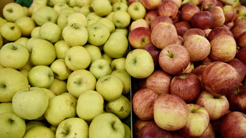 En 2022, la production française de pommes atteint 1,456 million de tonnes, en hausse de 11 % sur un an. En 2022, la production française de pommes atteint 1,456 million de tonnes, en hausse de 11 % sur un an.