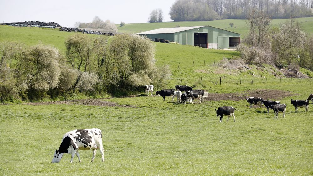 Le pluralisme agricole n'a pas été entendu, selon le Collectif Nourrir, lors des concertations pour les pacte et loi d'orientation agricole.