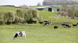 Le pluralisme agricole n'a pas été entendu, selon le Collectif Nourrir, lors des concertations pour les pacte et loi d'orientation agricole. Le pluralisme agricole n'a pas été entendu, selon le Collectif Nourrir, lors des concertations pour les pacte et loi d'orientation agricole.