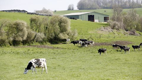 Le pluralisme agricole n'a pas été entendu, selon le Collectif Nourrir, lors des concertations pour les pacte et loi d'orientation agricole.