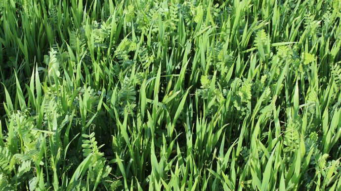 De nouvelles pratiques sont en train de se développer pour contrer les épisodes récurrents de sécheresse.