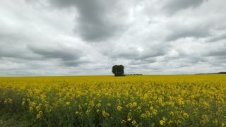 Les Régions ont défini leurs propres règles pour les aides à l'installation, créant des disparités entre territoires. Les Régions ont défini leurs propres règles pour les aides à l'installation, créant des disparités entre territoires.
