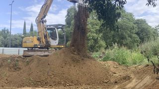 Dans le cadre de projets paysagers, le sol est encore trop peu souvent pris en compte. Pourtant, il a une grande influence sur les végétaux qu’il accueille.