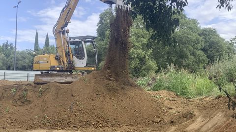 Dans le cadre de projets paysagers, le sol est encore trop peu souvent pris en compte. Pourtant, il a une grande influence sur les végétaux qu’il accueille.