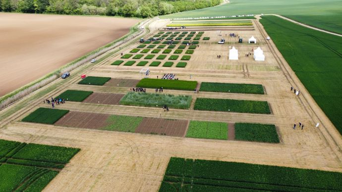 300 participants, dont un tiers d’agriculteurs, se sont déplacés jeudi 11 mai au colloque au champ « Objectif cultures propres » à Corcelles-lès-Cîteaux (Côte-d'Or). Une fréquentation satisfaisante pour les organisateurs.