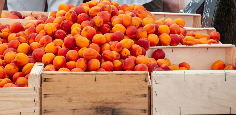 En 2022, le chiffre d'affaire à la production d'abricots double sur un an et les importations reculent.