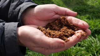 Pour être épandue dans les champs, la préparation à base de litière forestière fermentée doit être infusée dans un grand volume d'eau. Pour être épandue dans les champs, la préparation à base de litière forestière fermentée doit être infusée dans un grand volume d'eau.