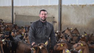 « Nos chèvres étant taries en juin, nous n’avons pas mesuré l’impact des fortes chaleurs sur la production de lait », explique Matthieu Girard.