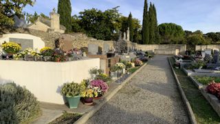 Tout comme pour les fêtes de fin d’année, les ventes de végétaux pour la Toussaint se sont inscrites en baisse pour l’année 2022.