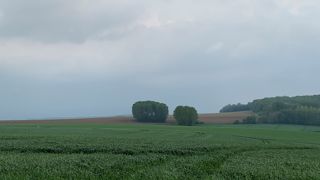 La météo est chamboulée et donne du fil à retordre aux agriculteurs. La météo est chamboulée et donne du fil à retordre aux agriculteurs.