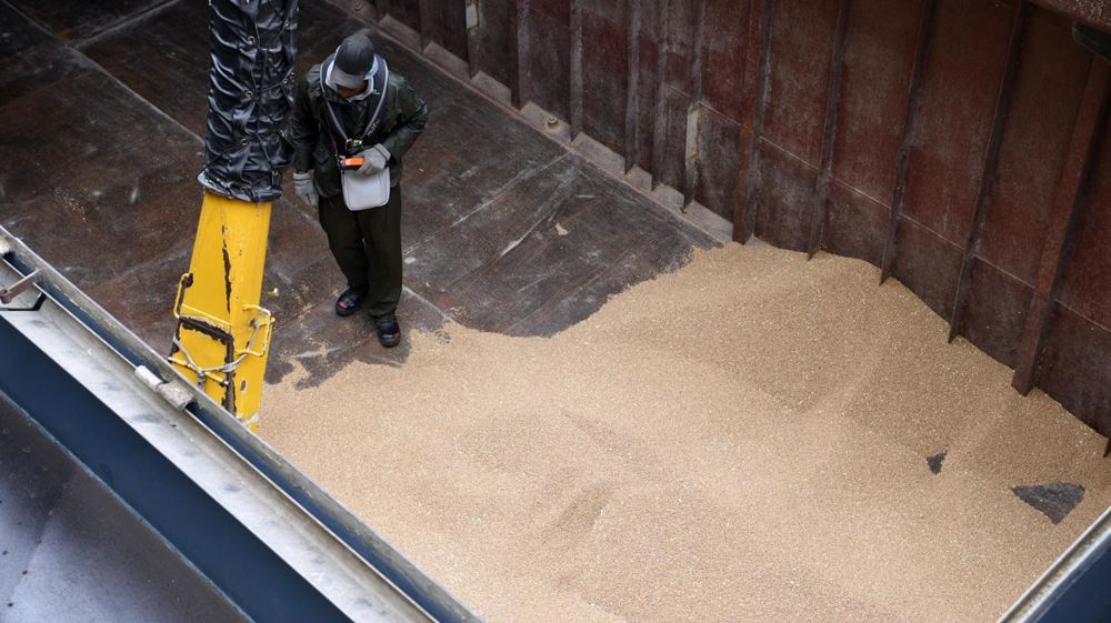 Les prévisions d'exportations de blé tendre français régressent en mai 2023 du fait de la compétitivité des grains russes.