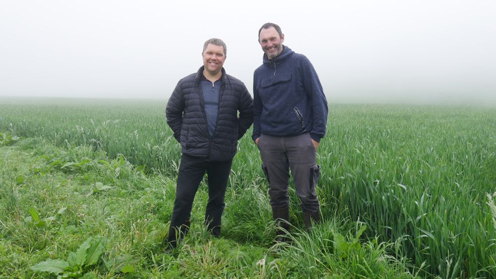 Sylvain Cherfils (à gauche) et Laurent Fontaine (à droite) ont travaillé sur la réduction de leurs IFT dans le cadre d'une MAEC.