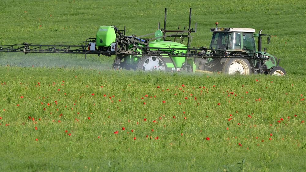 Les adventices restant toujours compliqués à gérer, l'IFT herbicides en grandes cultures a diminué plus faiblement que pour les autres types de produits.