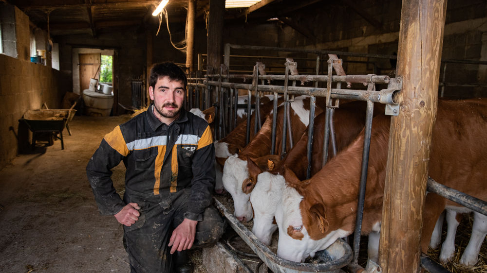 Sur les conseils de son vétérinaire, Anthony Bonny a revu la ration de ses génisses en y intégrant du maïs épi produit sur l'exploitation. Sur les conseils de son vétérinaire, Anthony Bonny a revu la ration de ses génisses en y intégrant du maïs épi produit sur l'exploitation.