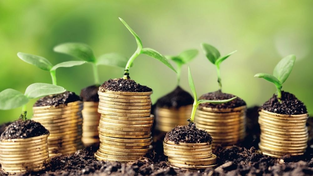 Choisir la holding pour optimiser sa fiscalité