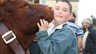 La perte d’un animal aimé est souvent le premier gros chagrin d’un enfant et le premier contact avec la mort.